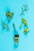 Assortment of herbs used for essential oils