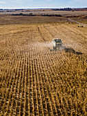 Corn harvest, Nebraska, USA