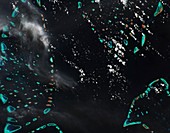 Maldives coral islands, satellite image