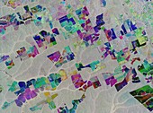 Deforestation in Brazil, satellite radar image