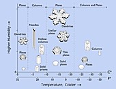 Snowflake morphology, diagram