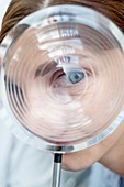 Model ophthalmic lens