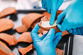 Archaeologists reconstructing broken pottery