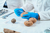 Archaeologists analyzing ancient weight in laboratory