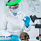 Ancient DNA scientist working in bio archaeology lab