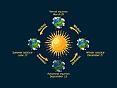 Earth seasons, illustration