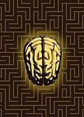 Brain and maze, illustration