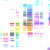 DNA sequencing, illustration