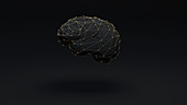 Brain connections, conceptual illustration