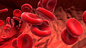 Red blood cells, illustration