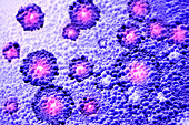 Nanomicelles, conceptual illustration