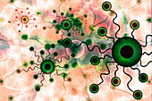Nanomicelles, conceptual illustration