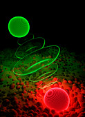 Entangled photons interacting with matter, illustration