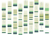 Bioinformatics, conceptual illustration