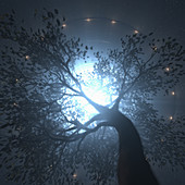 UFO above tree, illustration