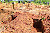 Ebola burial site,Sierra Leone,2017