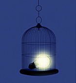 Light bulb inside of birdcage,illustration