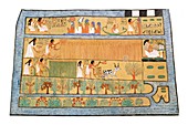 Agriculture in Ancient Egyptian tomb scene,illustration