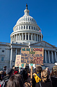 Climate change protest, Washington DC, USA