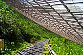 Arecibo Observatory reflector