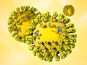 SARS virus particles,illustration