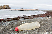 Plastic pollution,Antarctica