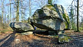 Pedestal erratics