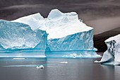 Icebergs in Nordvestfjord,Greenland