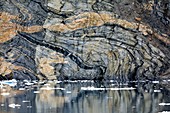 Migmatite rock cliff,East Greenland