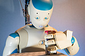 Romeo robot demonstrating sensitive grip