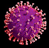 Coronavirus particle,illustration