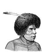 Fijian man,19th Century illustration