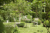 Seating area amongst clipped box bushes and roses in garden