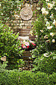 Korb mit Rosenblüten auf Gartenstuhl neben Kletterrose, Mauer mit Sonnenscheibe