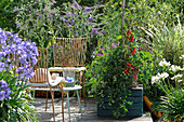 Kleine Sitzgruppe auf Sommerterrasse mit Tomate, Schmucklilien und Sommerflieder