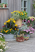 Bunte Sommerterrasse mit Stauden und Sommerblumen