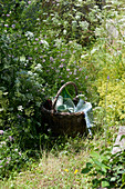 Basket between meadow flowers in the natural garden