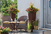 Petunia beautical 'Cinnamon' 'Caramel' and Japanese red grass 'Red Baron' in rust pots on a gravel terrace, seating area with wicker chairs and a rust table