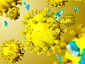 Antibodies responding to coronavirus particles,illustration