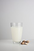A glass of fresh almond milk with almonds