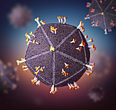 Human Immunodeficiency Virus,illustration