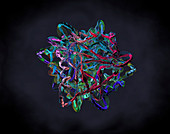 Protein,illustration
