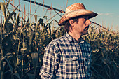 Farmer in corn field