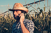 Farmer using mobile phone in corn field