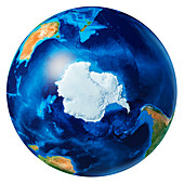 Antarctic,illustration
