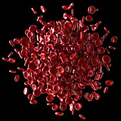 Red blood cells,illustration