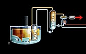 Sodium-cooled fast reactor, diagram