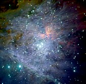 Magnetic Fields in the Orion Nebula, optical image
