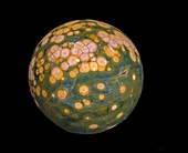 Polished sphere of orbicular jasper