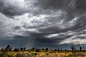 Thunderstorm in the Australian Outback